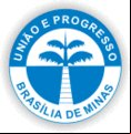 Brasão da cidade de Brasilia De Minas - MG