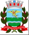 Brasão da cidade de Ribeirao Preto - SP